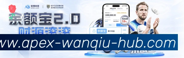 未来规划